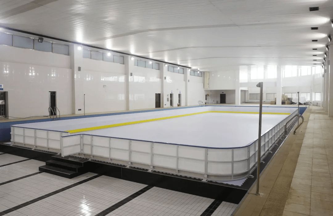 Synthetic Skating Rink