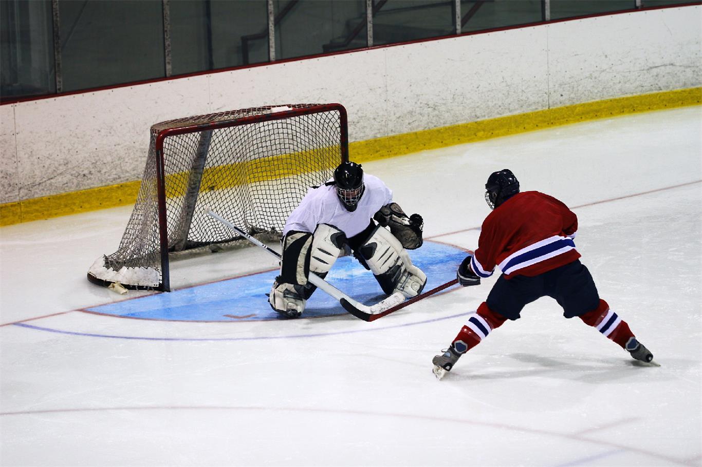 Hockey Rink Panels